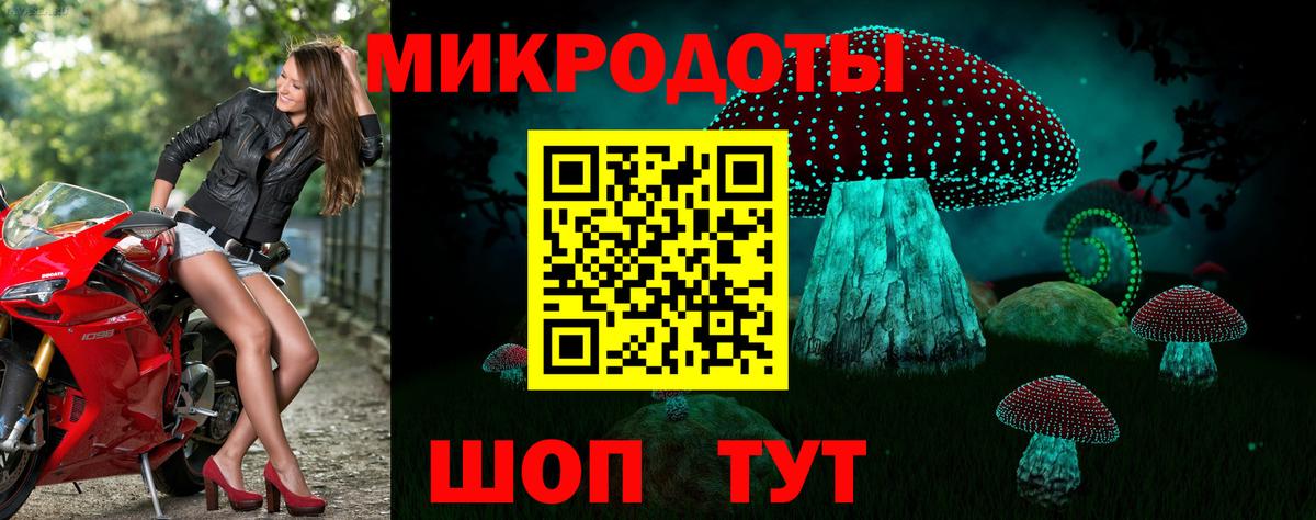 Галлюциногенные грибы Psilocybe Тамбов
